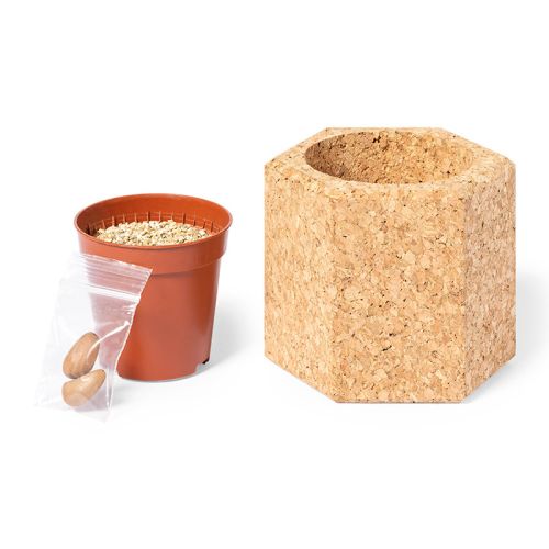 Cork flowerpot with seeds - Image 2